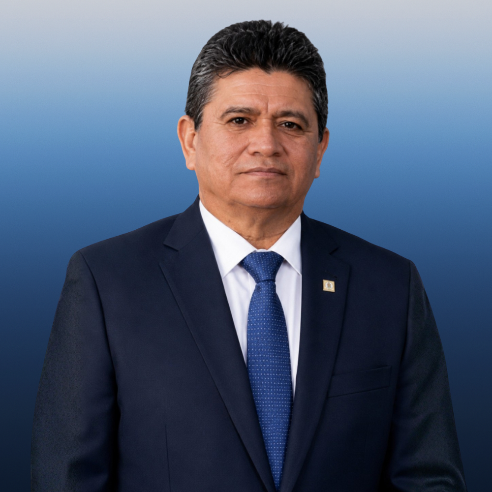 CONTADOR DISTRITAL